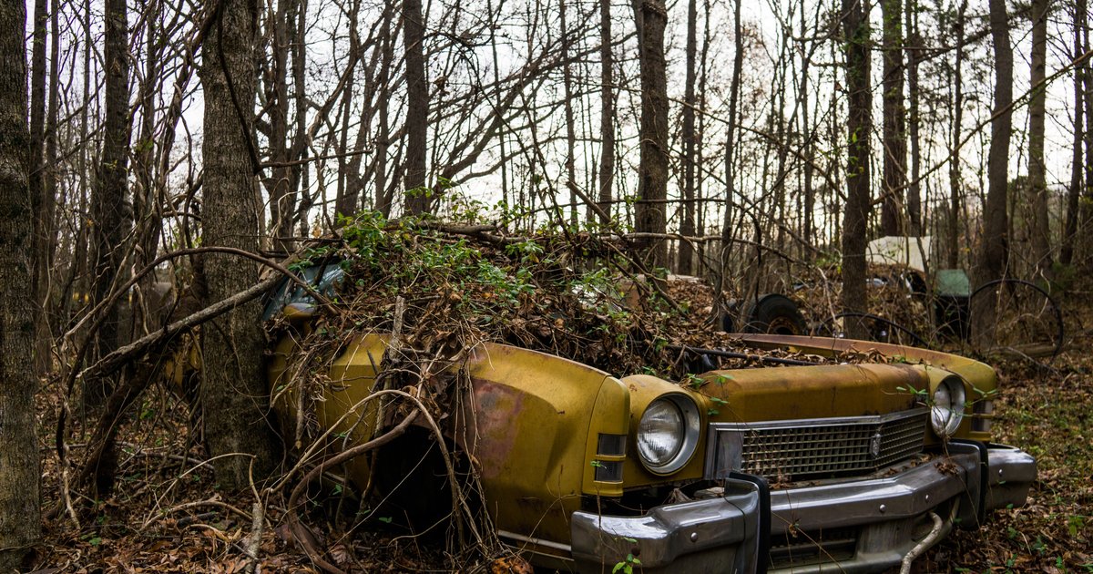 Abandoned Vehicle Maryland: How to Report & Remove It