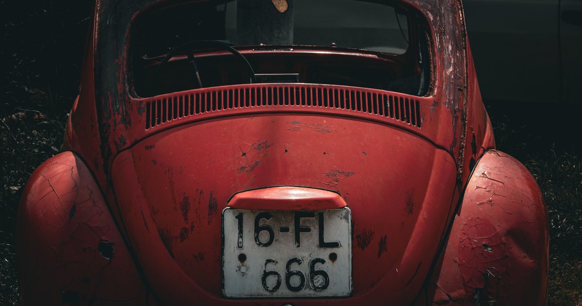 FL Specialty Plates: Complete Guide to Florida Options