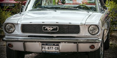 MD License Plate Lookup: How to Search Maryland Plates