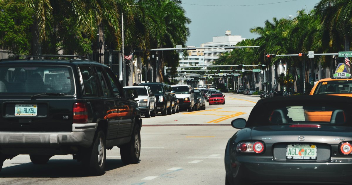 Specialty License Plates Florida: Complete 2024 Guide