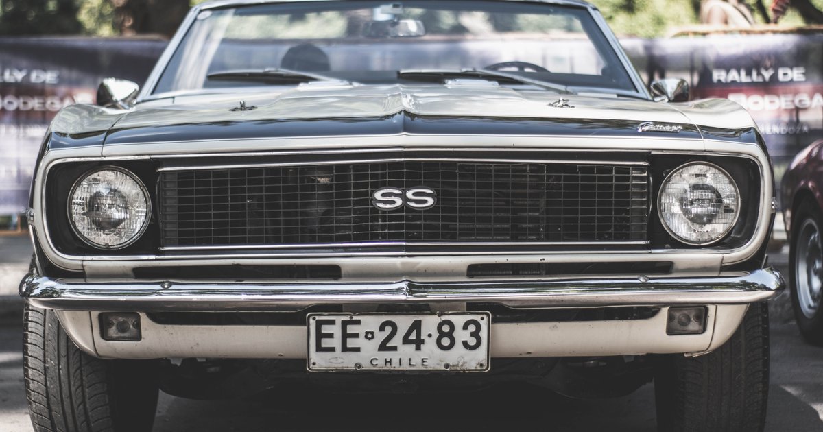 Specialty License Plates South Carolina: Full Guide