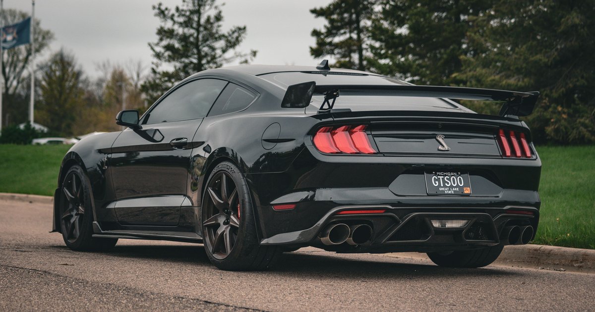 Vanity Plate Michigan: How to Get a Custom Plate in MI